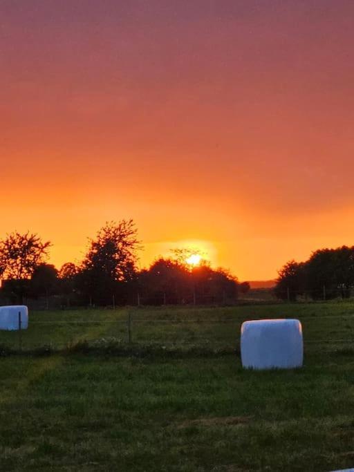 Gaesthuset Saetuna Exteriér fotografie